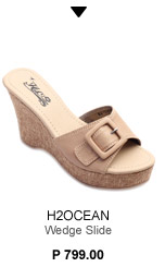 Wedge Slide