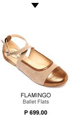 Ballet Flats