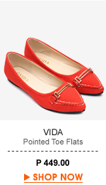 Pointed Toe Flats