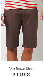 Chic Brown Shorts