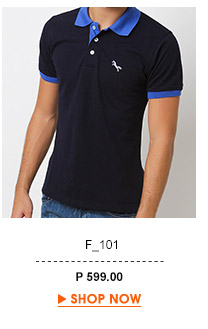 Lander Polo